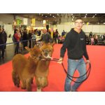 16.02.2014 Haus Garten Freizeit