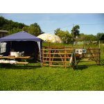 06.07.2014 Indianerfest Neunitz