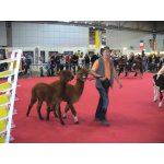 15.02.2015 Haus Garten Freizeit