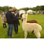 23.05.2015 Indianerfest Neunitz