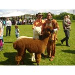 23.05.2015 Indianerfest Neunitz