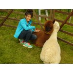 23.05.2015 Indianerfest Neunitz