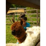 23.05.2015 Indianerfest Neunitz