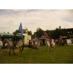 01.08.2015 Western Days Panitzsch