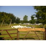 01.08.2015 Western Days Panitzsch