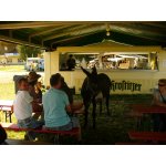 01.08.2015 Western Days Panitzsch