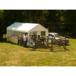 01.08.2015 Western Days Panitzsch