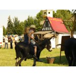 01.08.2015 Western Days Panitzsch