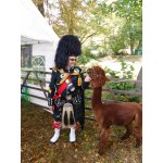 16.09.2017 Highlandgames