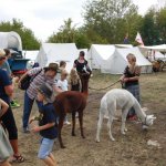 18.08.2018 Westerntage Haselbach