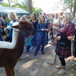 15.09.2018 Highlandgames