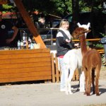 05.10.2018 Jagd und Angelmesse
