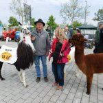 !9.04.2019 AGRA Leipzig