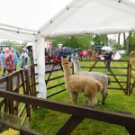 11.05.2019 Weidefest Priessnitz