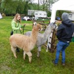 11.05.2019 Weidefest Priessnitz