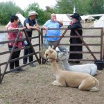 17.08.2019 Westerntage Haselbach