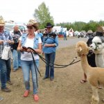 17.08.2019 Westerntage Haselbach
