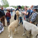 17.08.2019 Westerntage Haselbach
