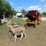 17.08.2019 Westerntage Haselbach