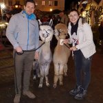 15.12.2019 Weihnachtsmarkt Grimma