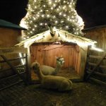 15.12.2019 Weihnachtsmarkt Grimma