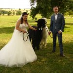 Hochzeiten